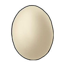 Æg 1