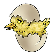 Æg 3