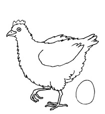 Høne og æg