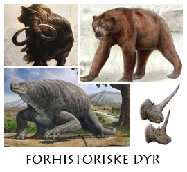 Forhistoriske dyr